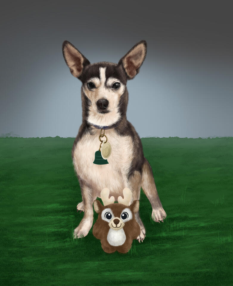 Pika with his toy Pika with his toy